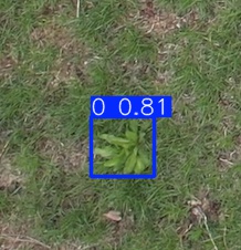 Annotated Image